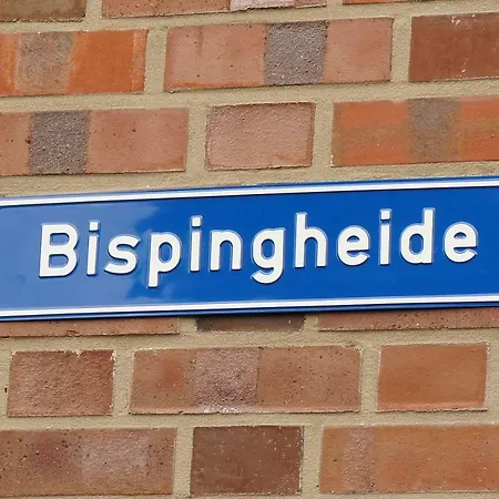 Bisping33 *