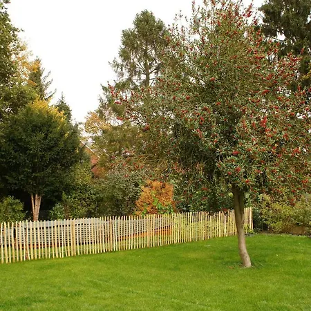 Bisping33 Апартаменты *