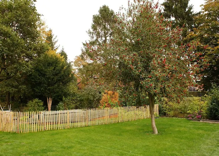 Bisping33 Appartement *